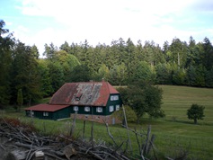 heppe7339