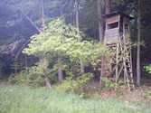 wald1022