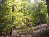 wald1030