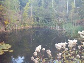 wald1044