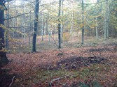 wald1053