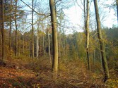 wald1057