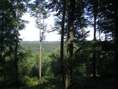natur1023