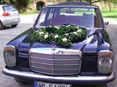 KFZflora1034