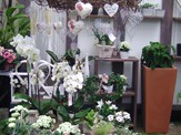 BILD5430