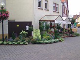 pflanzenBlumen1050