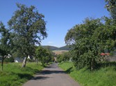 CIMG7156