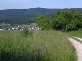 eschau1016