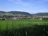 eschau1023