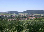 eschau1035