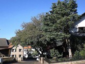 eschau1050