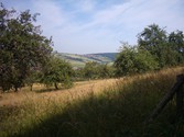 eschau-weg1000