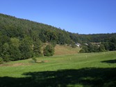 eschau-weg1002