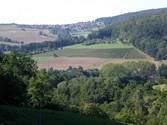 eschau-weg1006