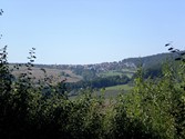 eschau-weg1009