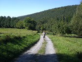 eschau-weg1013
