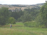 eschau-weg1015