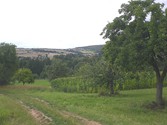 eschau-weg1016