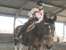 Bild9